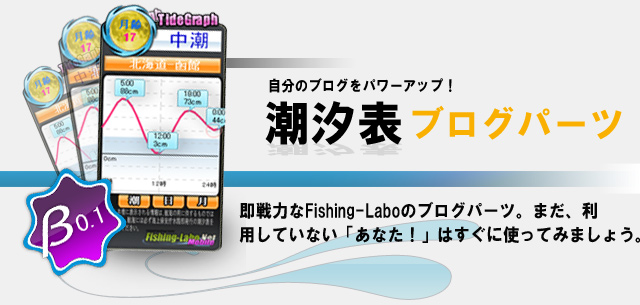 Ĭ¼®É½¥Ö¥í¥°¥Ñ¡¼¥Ä