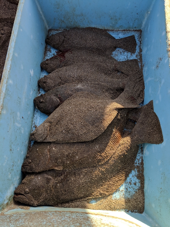 £´K¥â¥ó¥¹¥¿¡¼