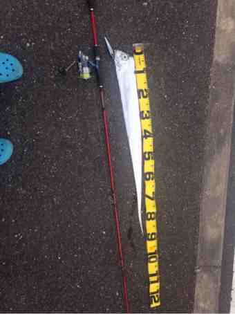 {0519BF63-3B7F-4CBA-99BC-E80CD33D92B9}