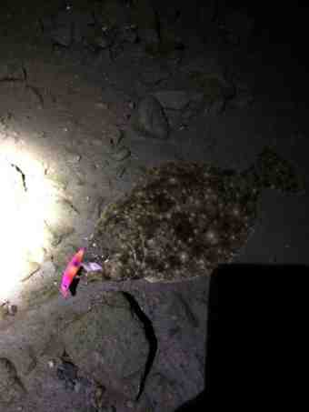 {F716F149-DEDB-454B-8F7D-3A1CD2EAEC46}