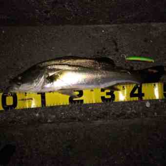 {D1ADD007-2AF1-487C-BD68-C6AC03755A85}