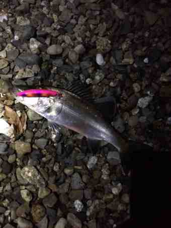 {A7AA70DA-DECD-442F-9114-9A7DFB88255D}