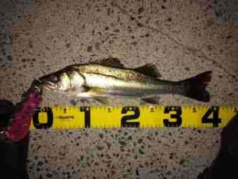 {F97B4564-6931-4114-8988-CA3FC5CE466F}