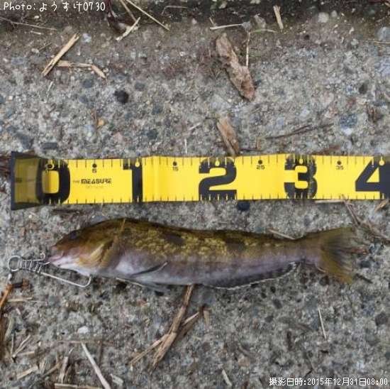 �����ʥ�