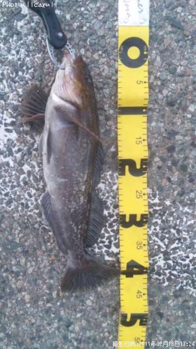 �����ʥ�