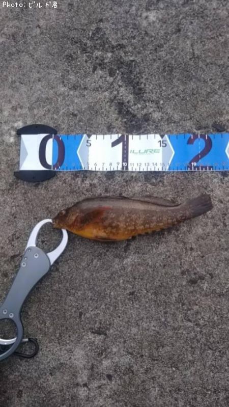 �����ʥ�