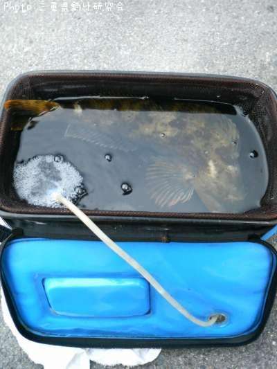 �����ʥ�