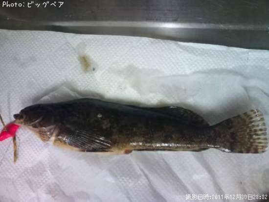 �����ʥ�