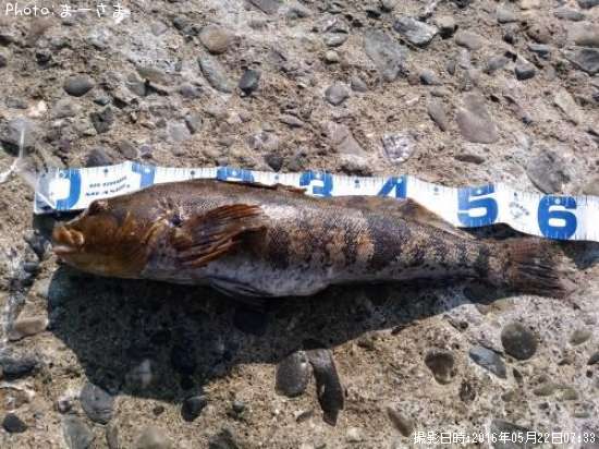 �����ʥ�