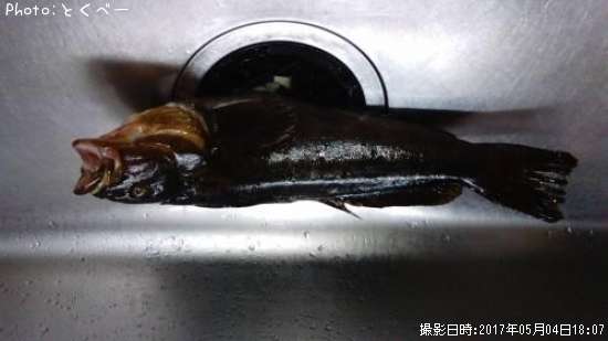 �����ʥ�