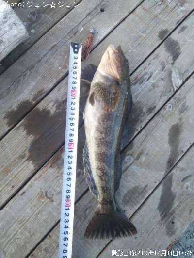 �����ʥ�