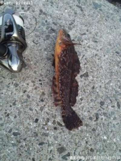 �����ʥᡩ