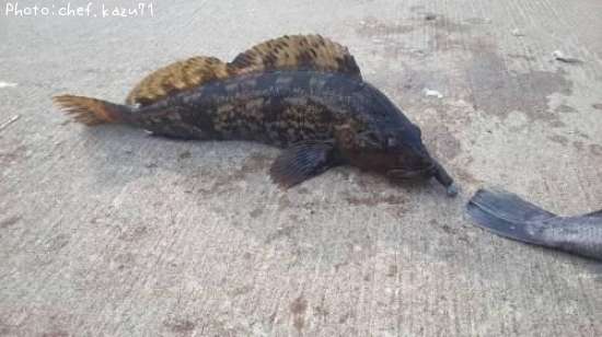 �����ʥ�