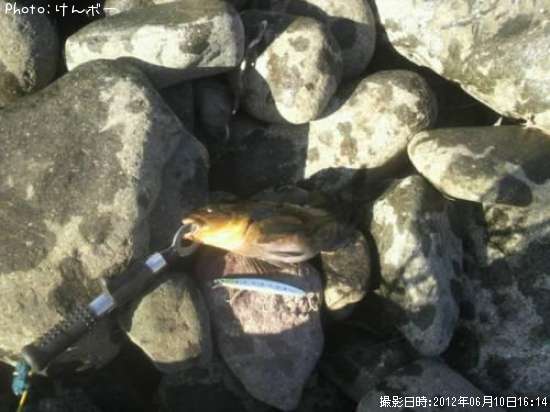 �����ʥ�