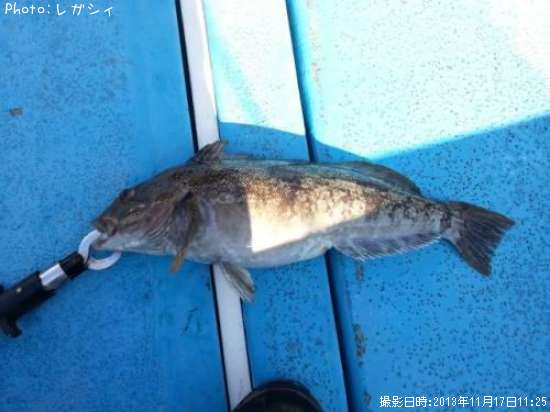 �����ʥ�