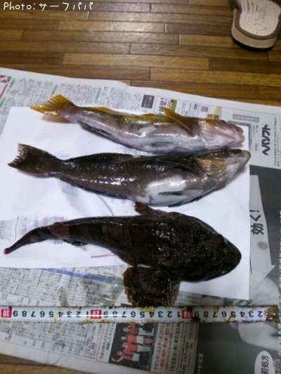 �����ʤᡢ�ܤä�