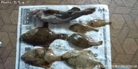 �����ʥ�����쥤