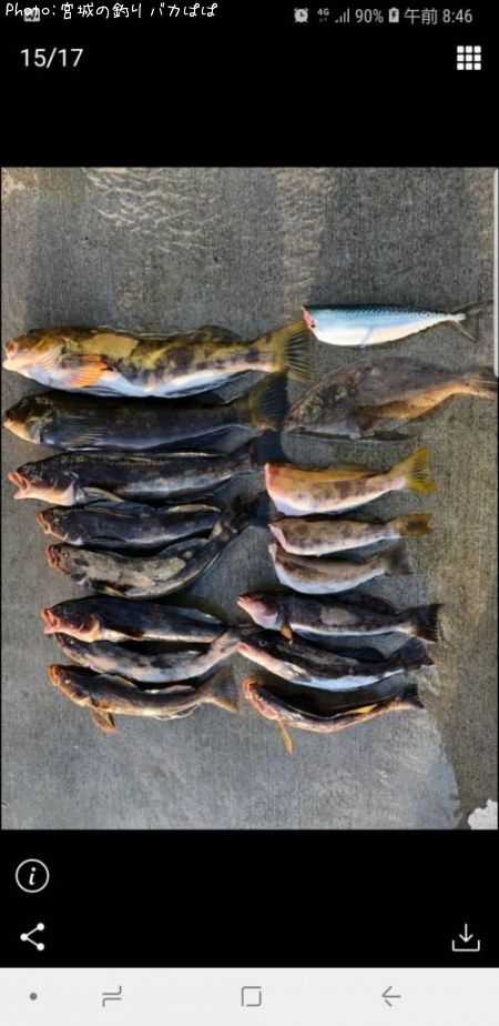 �����ʥᡢ���쥤������