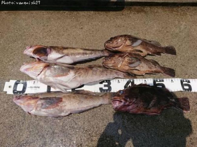 �����ʥ����饽��