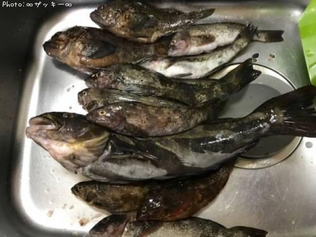 �����ʥᡡ����饽������������