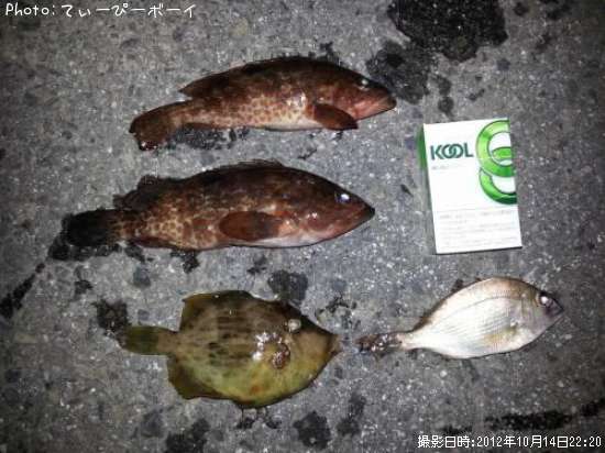 �����ʥ�ʤ�