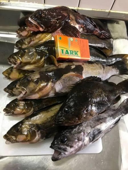 �����ʥᡡ��������������