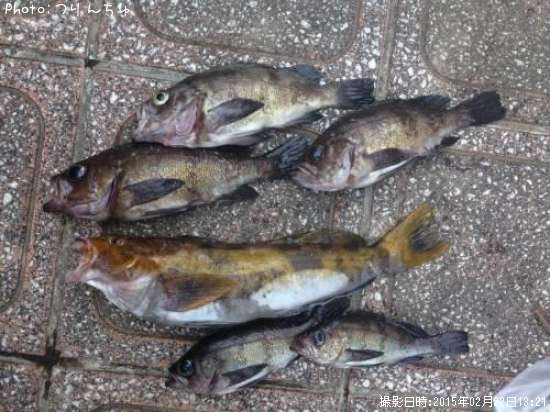 �����ʥ�ȥ�Х�