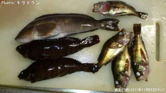 �����ʥ�ȥ�Х�