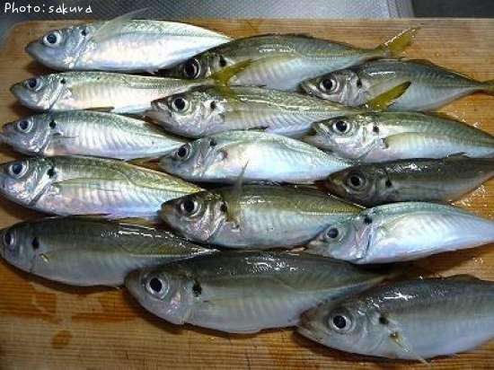 ��Ʀ������