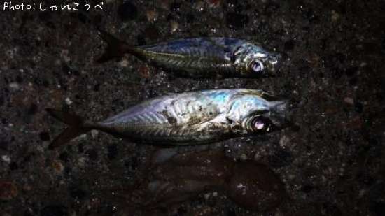 ��������������