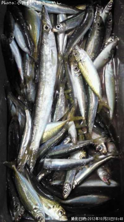 ���������亮