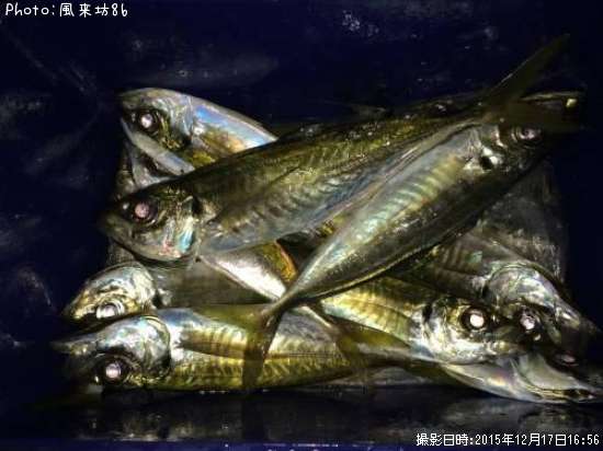 ���������ޥ�