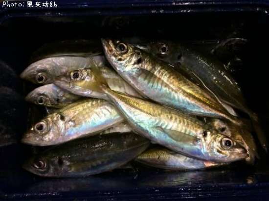 ���������ޥ������