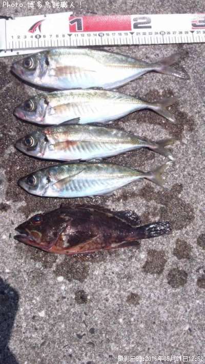 ������������