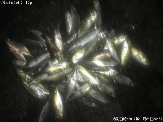 ����������������Х롢���