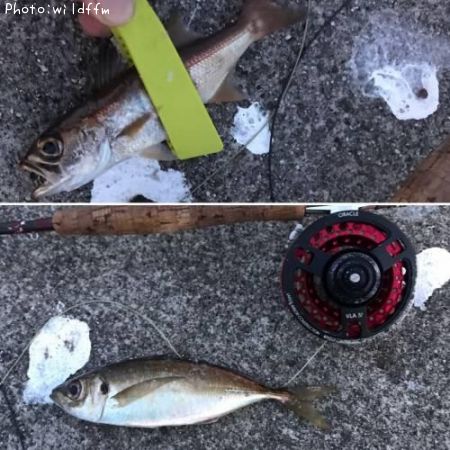 ���������������