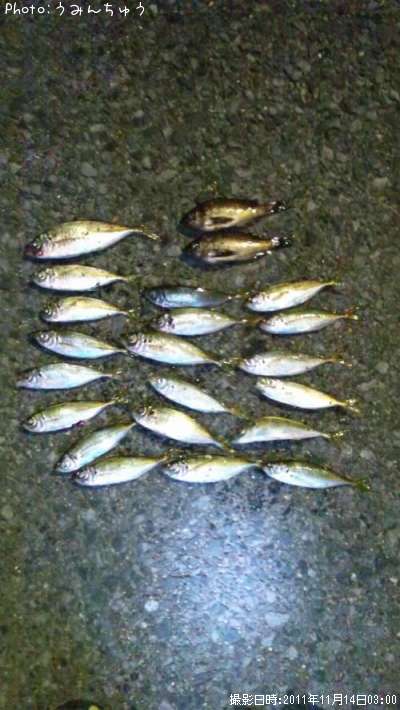 ��������Х�