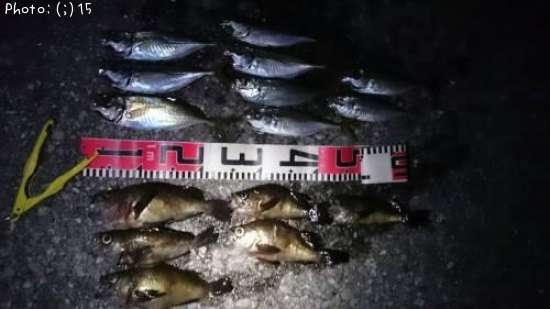 ��������Х�