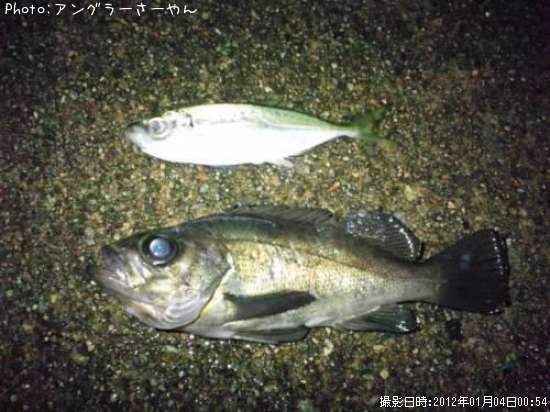 ��������Х�