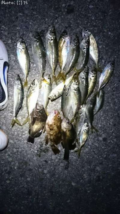 ��������Х롢������