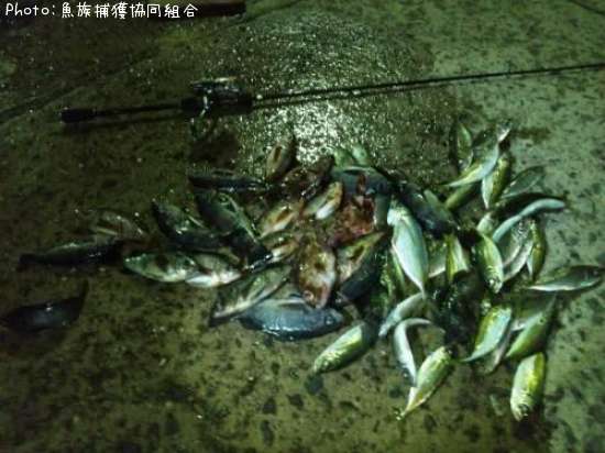 ��������Х롢������