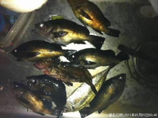 ��������Х롢������