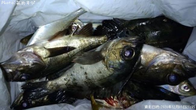 ��������Х롢����