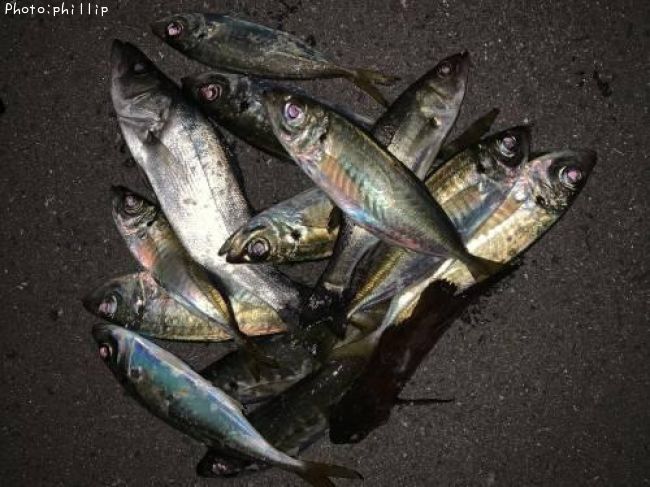 ��������Х롢������