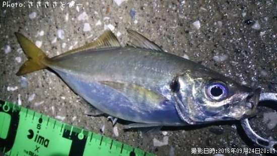 ��������Х�������Х�