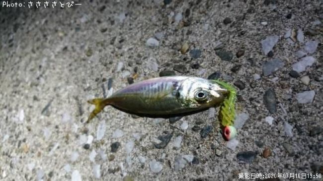 �������᥸��