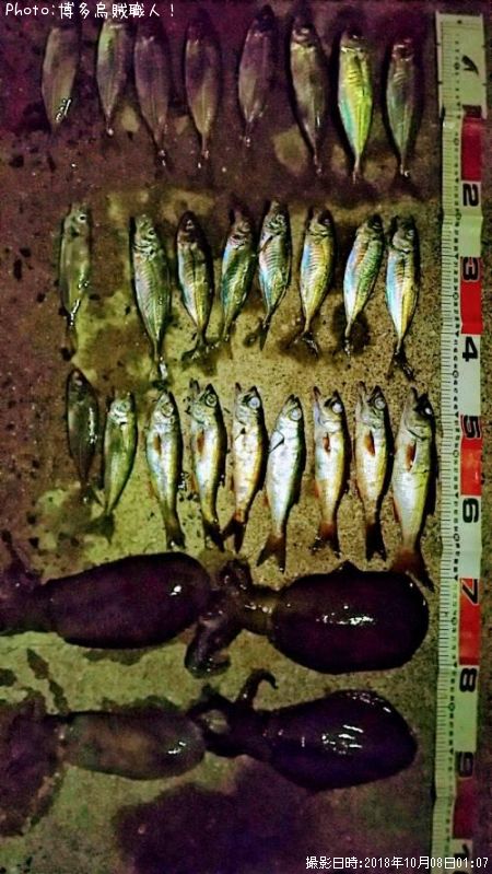 ��������ġ������ꥤ��