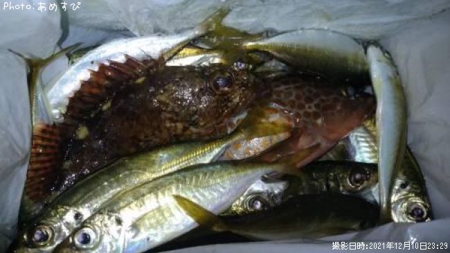 ���������С���������������