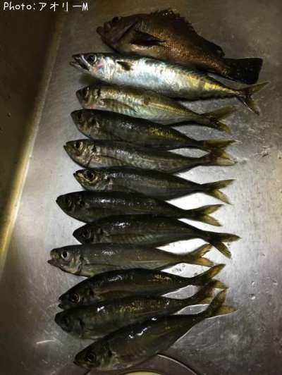 ���������С���Х�