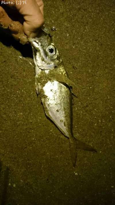 ���������������᥸��